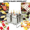 Moule à glace | InoxGlace™ La Cuisine de Mimi