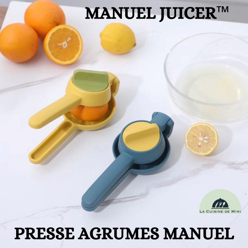 Lacor 69120 Presse Fruits Electrique Avec Levier, 160W, Argenté