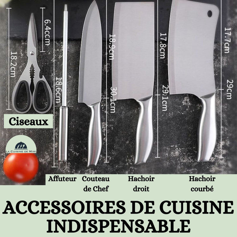 Zelite Couteau Cuisine, Couteau d'Office en Acier Inoxydable, Kit