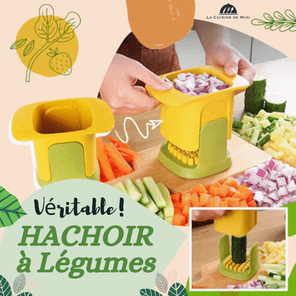 Leifheit Hachoir gastronome ComfortLine, Coupe-légumes manuel