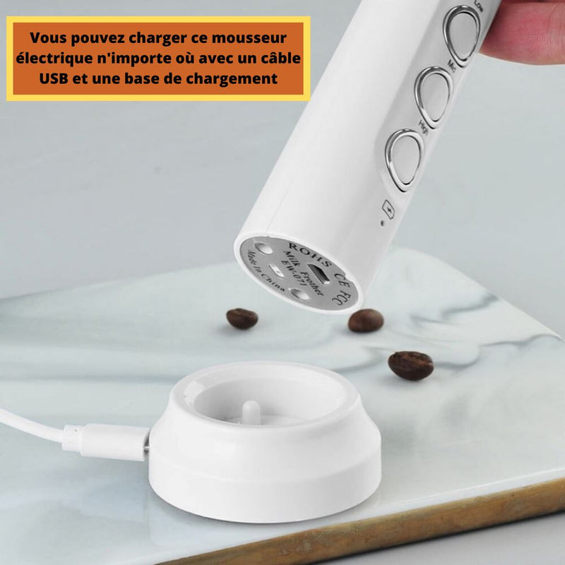 Delm Mousseur à lait électrique USB Accessoire en acier inoxydable (Blanc)  : : Cuisine et Maison